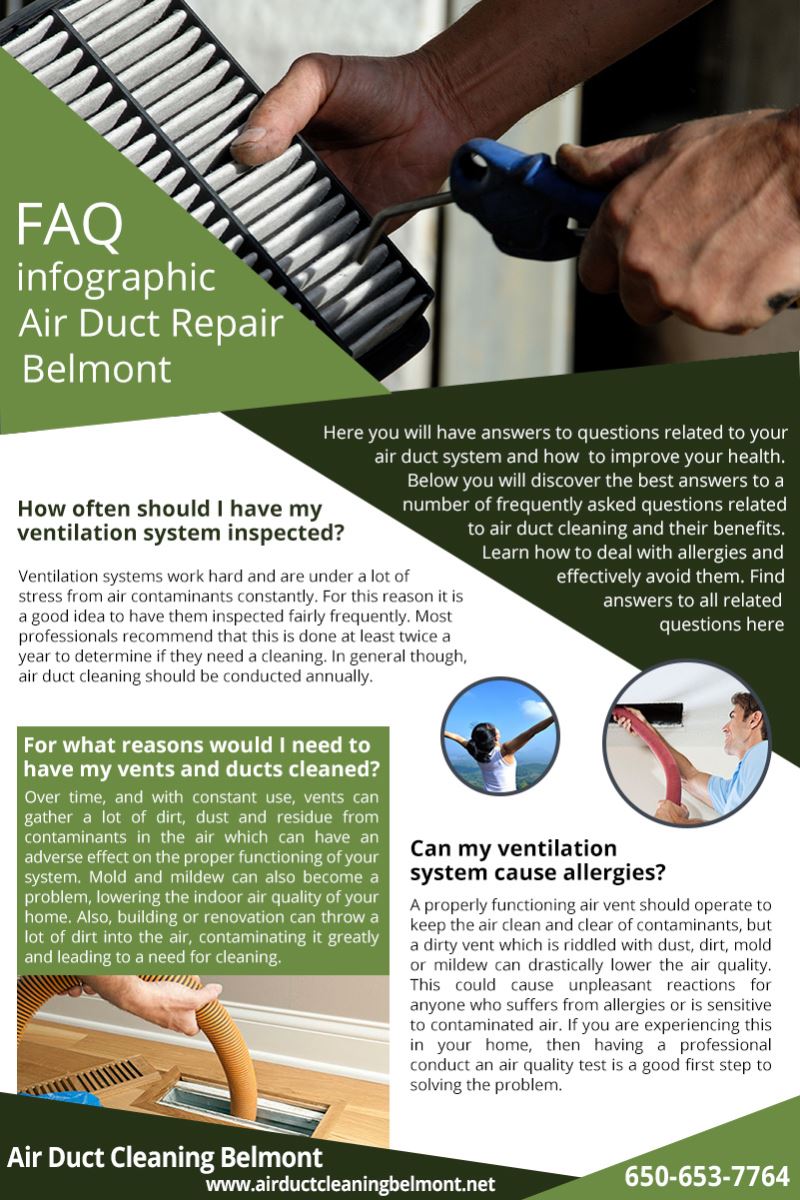 Our Infographic in Belmont